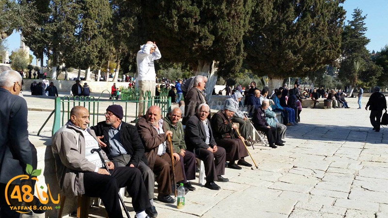 quds a7bab aqsa (4).JPG